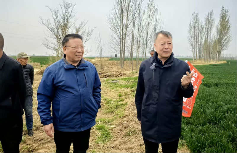 帮大哥携手马兰1号四新助农公益行动